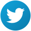 twitter icon