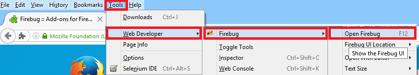 Install Fire Path - Shortcut F 12 Install Fire Path - Shortcut F 12