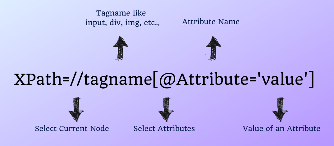 XPath In Selenium